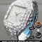 Carticer Iced Out Watch (Copy)