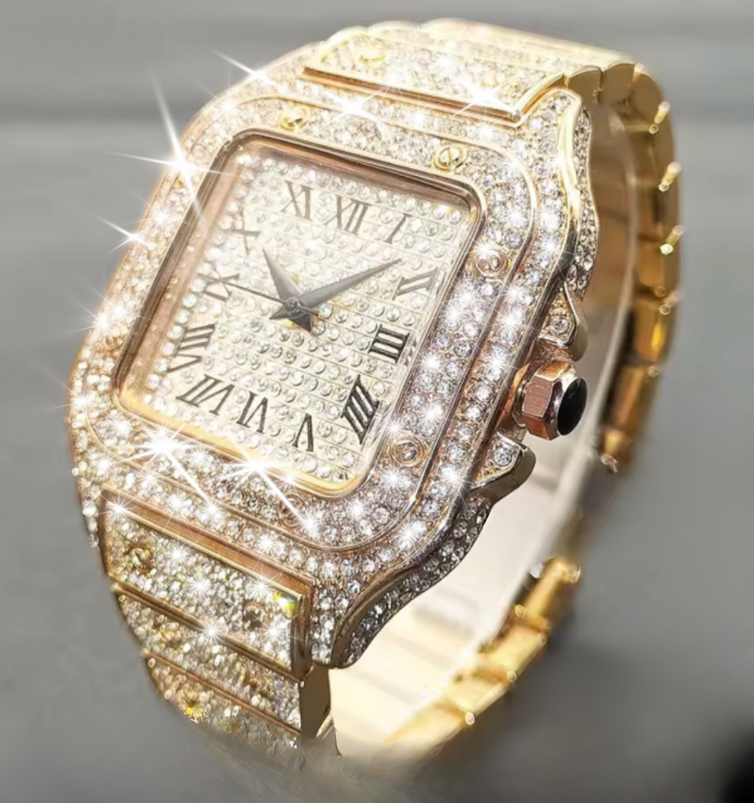 Velore Ice Iced Out Watch