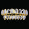 Smooth Paved Setting Iced Out Grillz