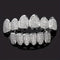 Iced Out Teeth Grillz