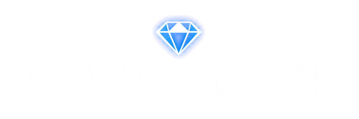 Carticer Store